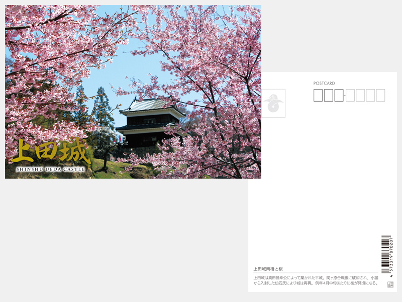 上田城南櫓と桜